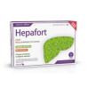 HEPAFORT 20amp.