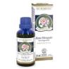 ACEITE ROSA MOSQUETA 50ml.