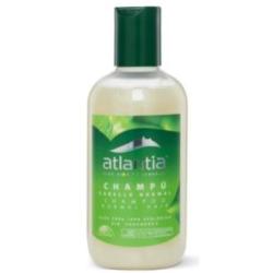 CHAMPU CABELLO NORMAL con aloe 250ml. ECO