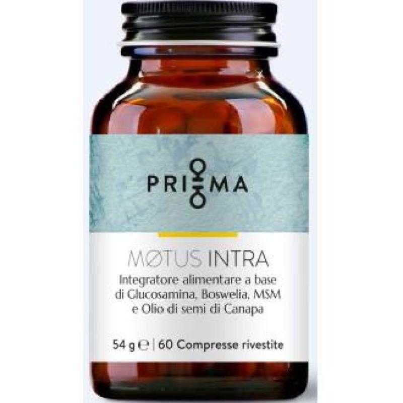 MOTUS INTRA 60comp.