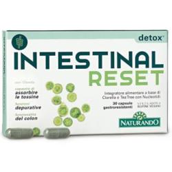 INTESTINAL RESET 15comp.