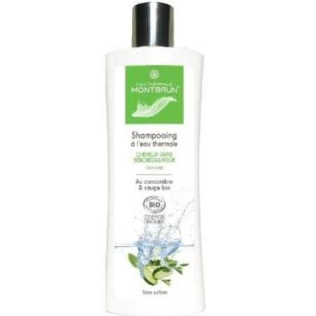 CHAMPU CABELLO GRASO con agua termal 250ml. BIO