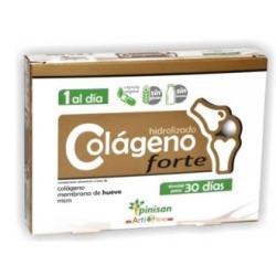 COLAGENO FORTE 30cap. ARTILINE