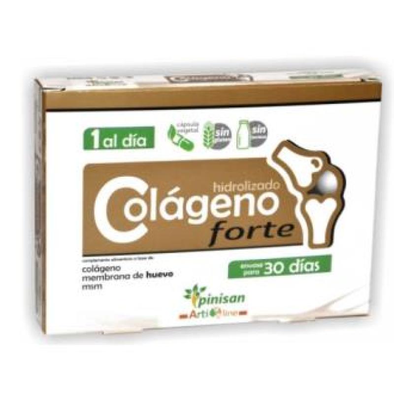 COLAGENO FORTE 30cap. ARTILINE