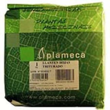 HIERBA LLANTEN HOJA TRITURADA 1KG