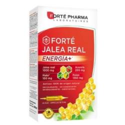 FORTE JALEA REAL ENERGIA+ 20amp.