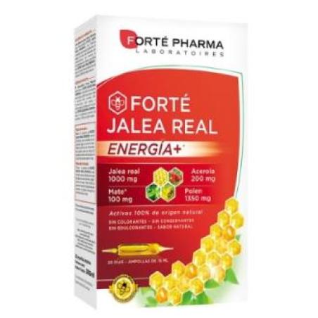 FORTE JALEA REAL ENERGIA+ 20amp.