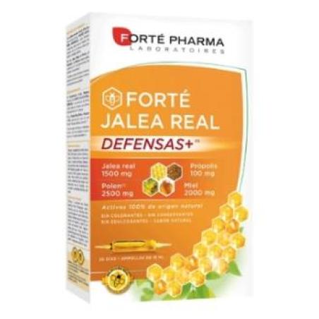 FORTE JALEA REAL DEFENSAS+ 20amp.