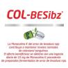 COL-besibz 60comp.