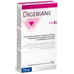 DIGEBIANE RFX 20comp. mast.