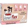 KOWI FLEX perros y gatos 60comp.