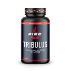 TRIBULUS TERRESTRIS 90saponins 60cap.