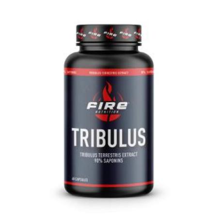 TRIBULUS TERRESTRIS 90saponins 60cap.