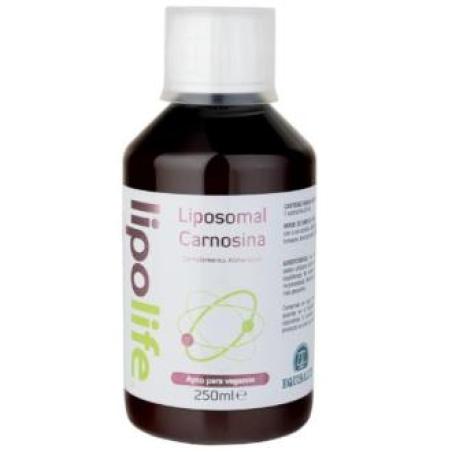 LIPOLIFE LIPOSOMAL CARNOSINA 250ml.