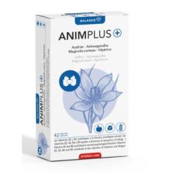 ANIMPLUS 42cap.