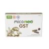 MICO NEO GST 60cap.