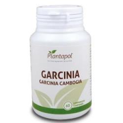 GARCINIA CAMBOGIA 60comp.