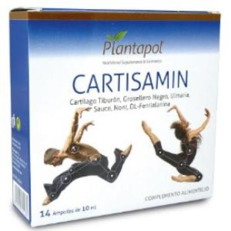 CARTISAMIN 14amp.