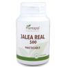 JALEA REAL 565mg. 60comp masticable