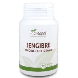 JENGIBRE 600mg. 60cap.