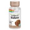 MAITAKE 500mg. 60cap.veg