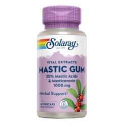 MASTIC GUM 500mg. 45cap.veg