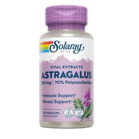 ASTRAGALUS ROOT EXTRACT 200mg. 30cap.veg