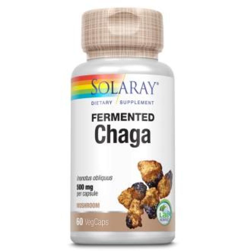 CHAGA FERMENTED 500mg 60vcap.