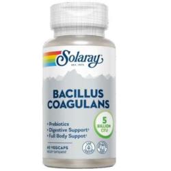 BACILLUS COAGULANS 60cap.veg