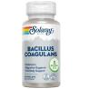 BACILLUS COAGULANS 60cap.veg