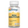 BISGLYCINATE IRON hierro bisglicinato 60comp.