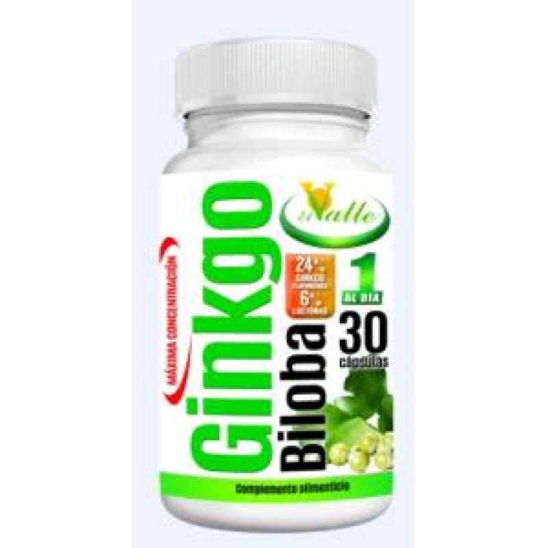 GINKGO BILOBA 30cap.