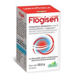 FLOGISEN 40cap.