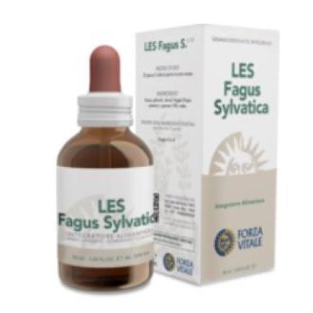 LES FAGUS SYLVATICA haya 50ml.