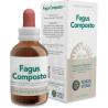 FAGUS COMPOSTO extracto 50ml.