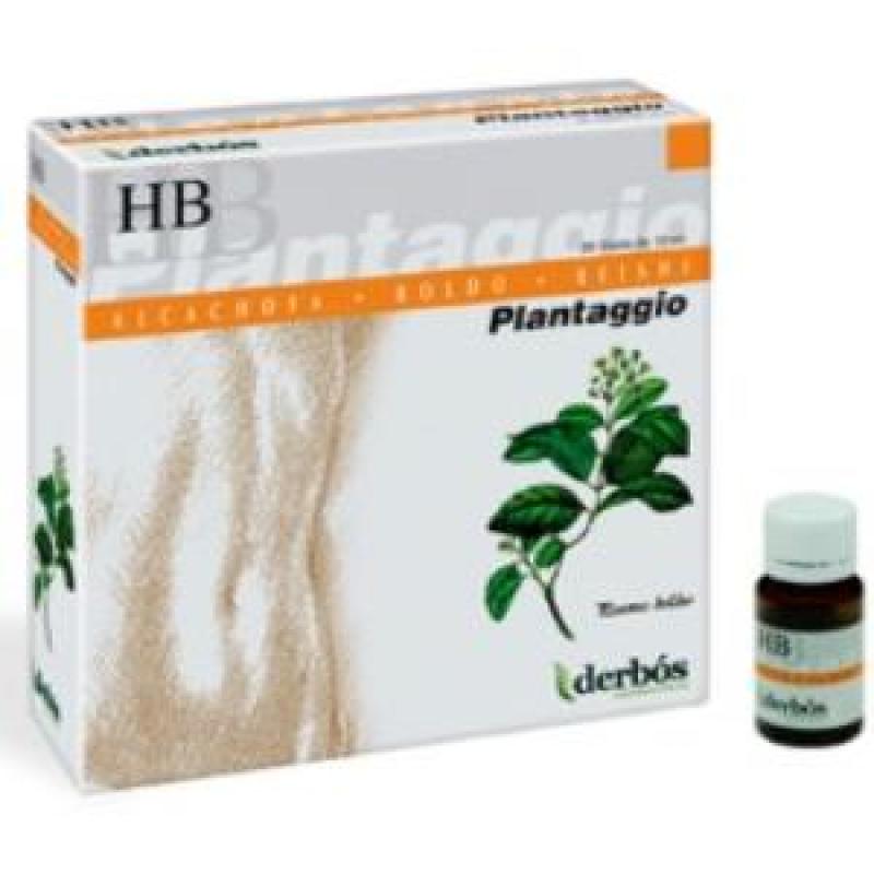 PLANTAGGIO HB 20amp.