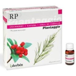 PLANTAGGIO RP 20amp.