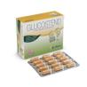 GLUCOSTEND 60cap.