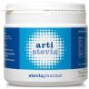 ARTISTEVIA bote 300gr.