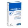 HEPATOBIANE 28comp.