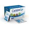 RAPIDGAS (carminagas) BIO tisana 20sbrs.