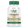 ASTRAGALUS ext. raiz 120cap.