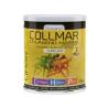 COLLMAR magnesio + curcuma sabor limon 300gr.