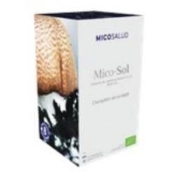 MICO SOL (champiñon del sol) HDT 70cap.