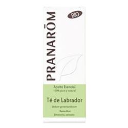 TE DEL LABRADOR aceite esencial BIO 5ml.