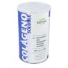 COLAGENO + AC. HIALURONICO + MSM 400gr