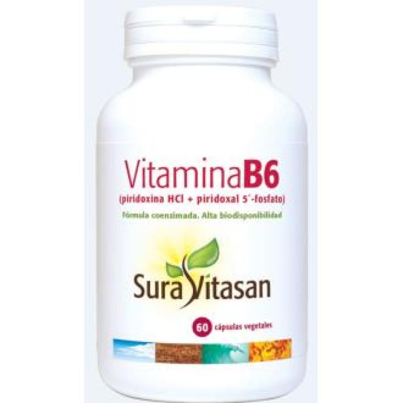 VITAMINA B6 60cap.