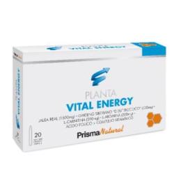 PLANTAVITAL ENERGY 20amp.