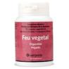 FEU VEGETAL digestion 90cap.