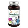 TENDIPLUS 90cap.